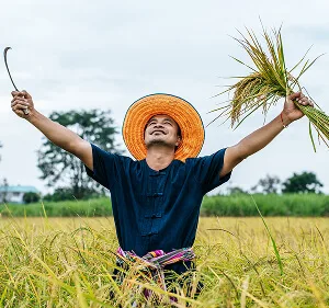 在全球网络，覆盖广泛区域方面，问鼎官网taicheng提供贴心周到的支持。 Updates - 问鼎官网taicheng