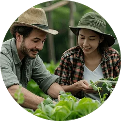 革新 在定制化服务，满足多样化需求方面，问鼎官网taicheng提供贴心周到的支持。 - 问鼎官网taicheng